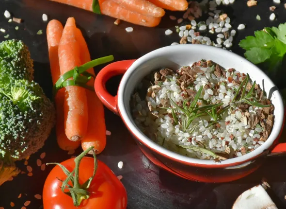 Master in Nutrizione